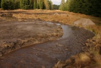 Návrat řeky - revitalizace potoka Hučiny